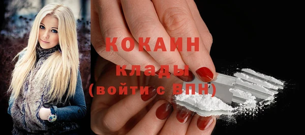 молекула духа Пестово