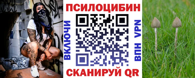Галлюциногенные грибы Psilocybine cubensis  darknet состав  Богданович  наркошоп 