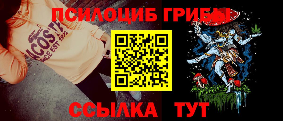 Богданович  наркошоп  Галлюциногенные грибы GOLDEN TEACHER  Вход с VPN  Галлюциногенные грибы ЛСД 