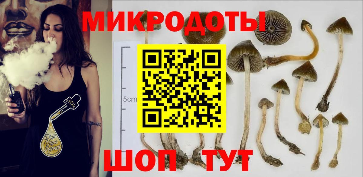 Псилоцибиновые грибы мицелий Богданович